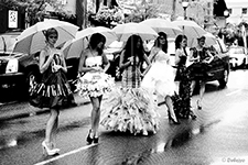 thumb/_DSC2493.jpg